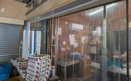 大阪府柏原市東条町｜ぶどう販売店様｜間仕切りカーテン